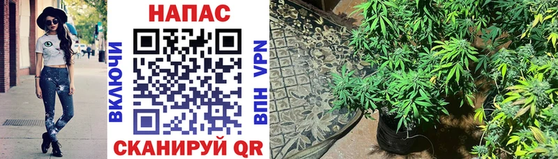  Cocaine Ясногорск