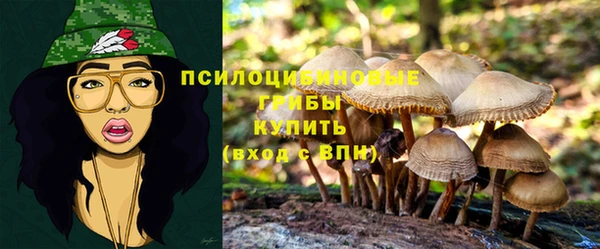 марки lsd Баксан